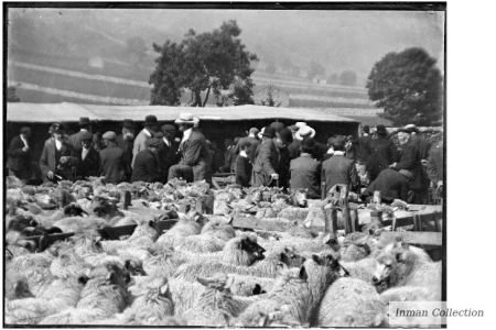 K5-4-00 Sheep sales.jpg