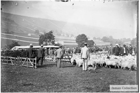 K5-5-00 Sheep sales.jpg