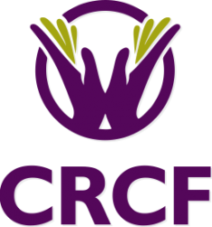 For website 7.png